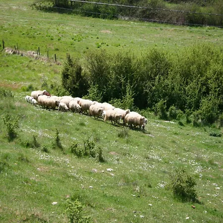 Ferienhaus Farmhouse Near Lake Trasimeno With Pool, Cleaning Included *