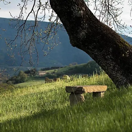 Farmhouse Near Lake Trasimeno With Pool, Cleaning Included